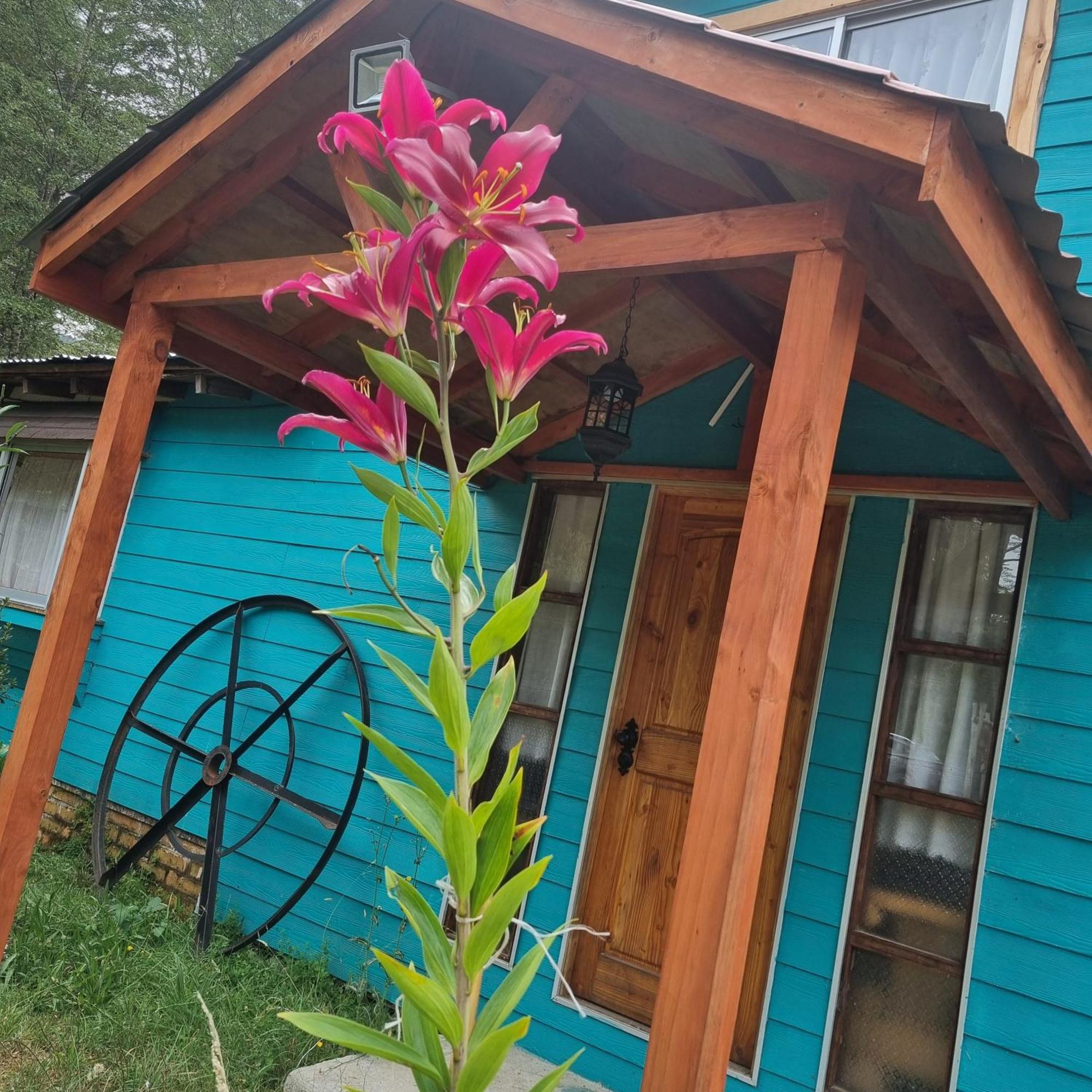 Cabanas Jade Cochamo Luaran gambar